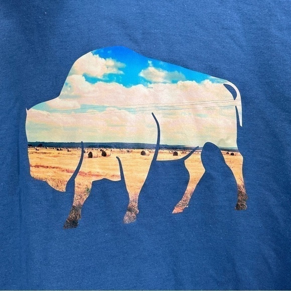 GNOMON Buffalo prairie blue hoodie - Picture 3 of 7